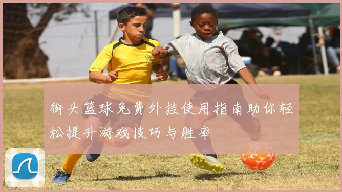 街头篮球免费外挂使用指南助你轻松提升游戏技巧与胜率