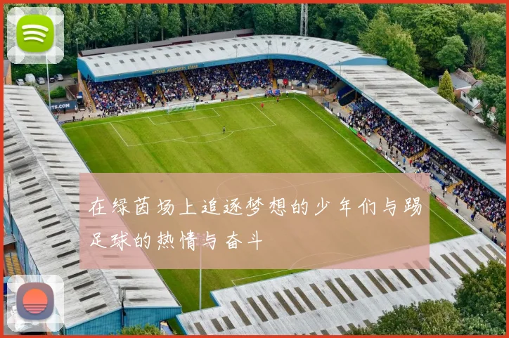 在绿茵场上追逐梦想的少年们与踢足球的热情与奋斗