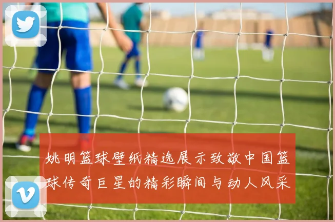 姚明篮球壁纸精选展示致敬中国篮球传奇巨星的精彩瞬间与动人风采