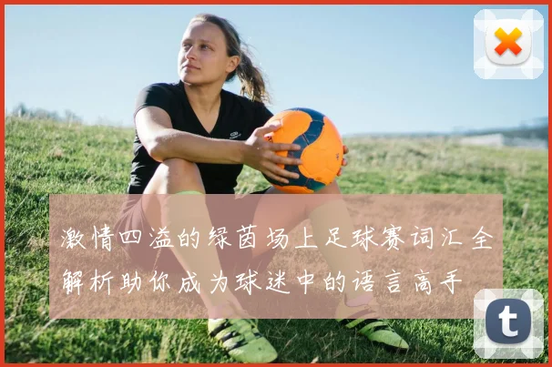 激情四溢的绿茵场上足球赛词汇全解析助你成为球迷中的语言高手