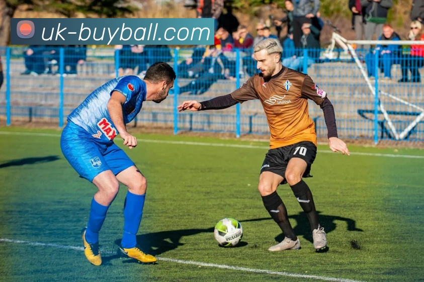 买球平台平台生态图